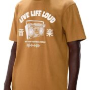 WhatsApp Image 2026-01-31 at 12.16.25 AM