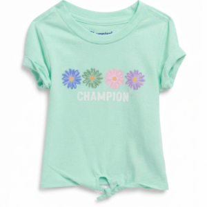 Champion 100% soft cotton premium Blend T-shirt
