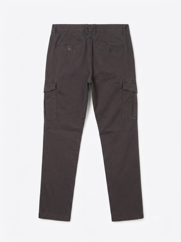 Gemini_Generated_Image_x2evrgx2evrgx2ev (1)