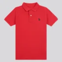 Red small horse plain pic 2