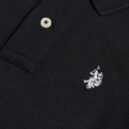 black small horse pic 3