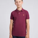 maroon smallhorse pic 1