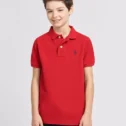 red small horse plain pic 1