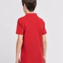 red small horse plain pic 3